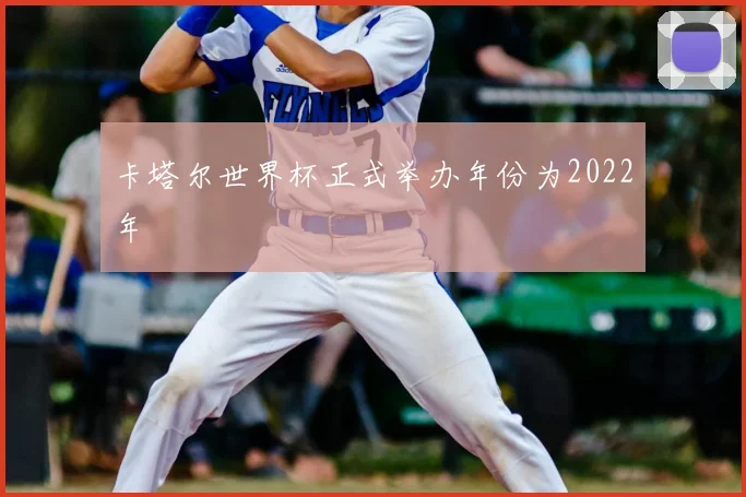 卡塔尔世界杯正式举办年份为2022年