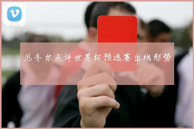 厄齐尔点评世界杯预选赛出线形势