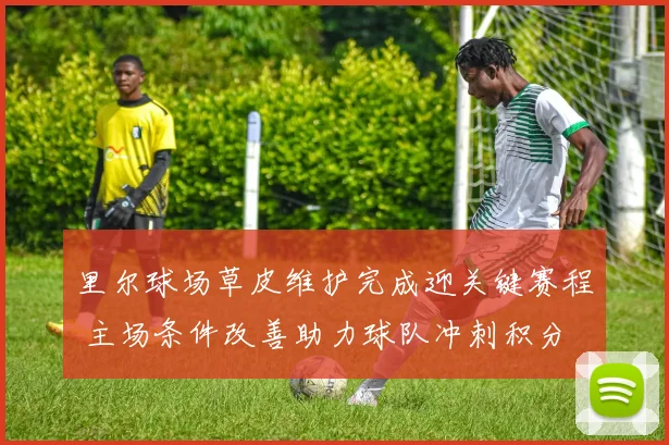 里尔球场草皮维护完成迎关键赛程 主场条件改善助力球队冲刺积分