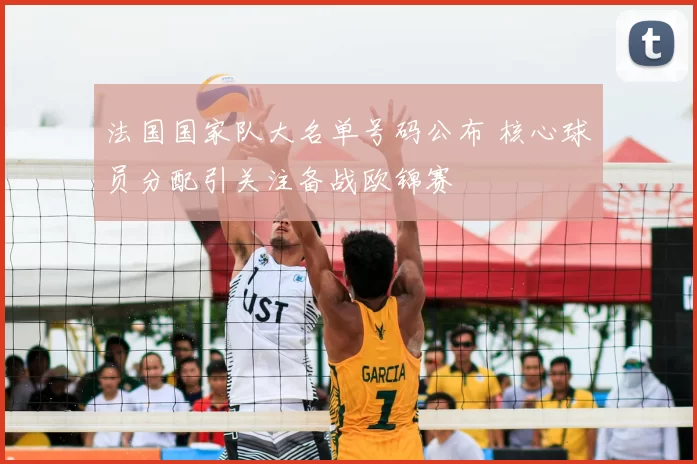 法国国家队大名单号码公布 核心球员分配引关注备战欧锦赛