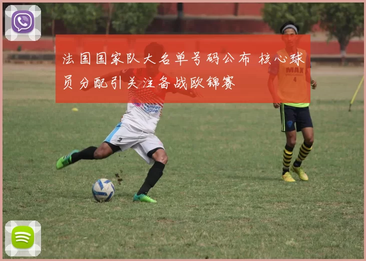 法国国家队大名单号码公布 核心球员分配引关注备战欧锦赛